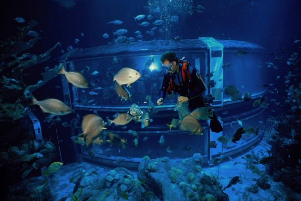 The Seas with Nemo and Friends Inside Aquarium.