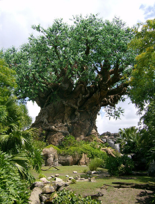 Tree of Life in Disney's Animal Kingdom