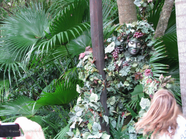 At Disney's Animal Kingdom you can seek out the character DiVine; she blends in with her surroundings wrapped in leaves and stands on stilts while hiding in the bushes.