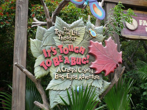 One of the attractions you must visit while you are at Disneys Animal Kingdom is Its Tough to be a Bug.