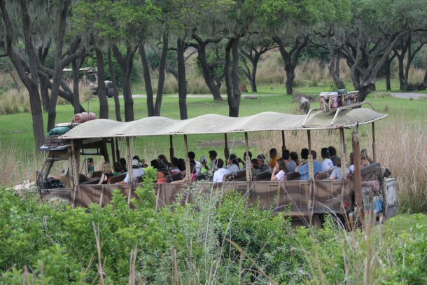 If you are looking to get the feeling of a real safari, you should jump on the Kilimanjaro Safari. 