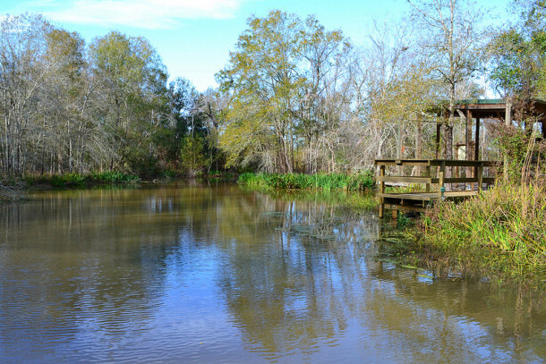 armand bayou nature center