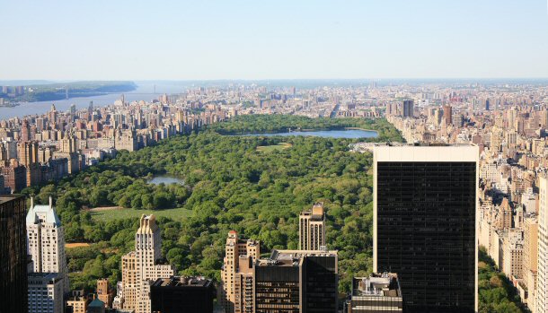 Central park is located in the middle of New York City.