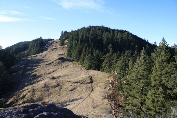 Horse Rock Ridge near Crawfordsville, Oregon