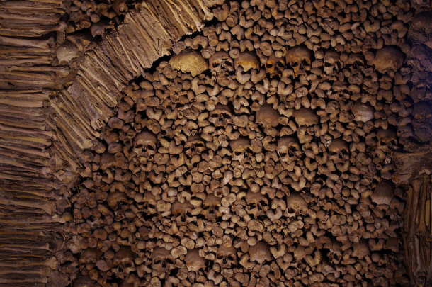 Detail of the Wall in the Chapel of Bones