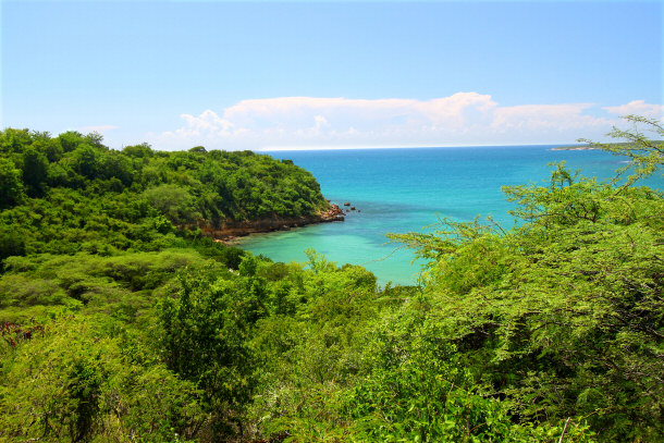A Look at the Lagoon in the Guanica Reserve