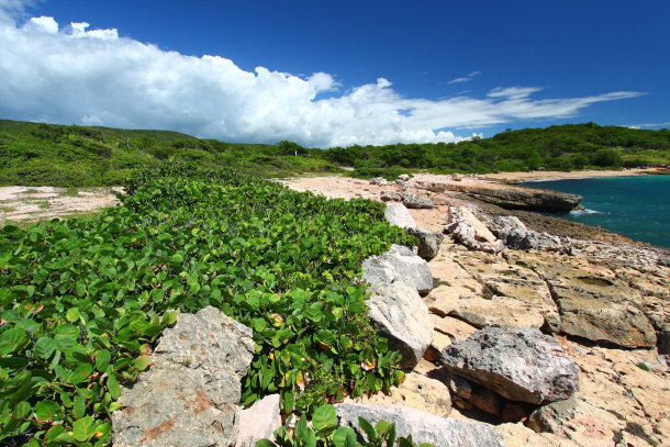 Guanica Reserve - Puerto Rico