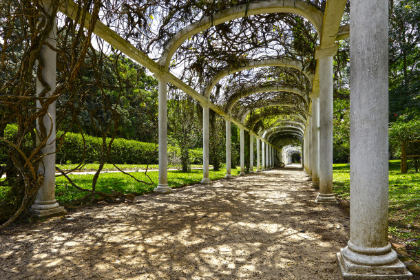 Jardim Botanico Rio de Janiero