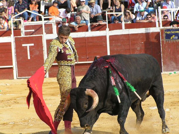 Bullfights are found throughout Spain and the matador's costumes can be very expensive.