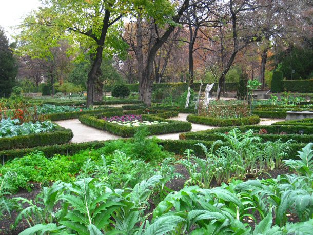 The Botanical Garden in Madrid is a 20 acre botanical garden founded by Kind Ferdinand VI and it is near the Manzanares River.
