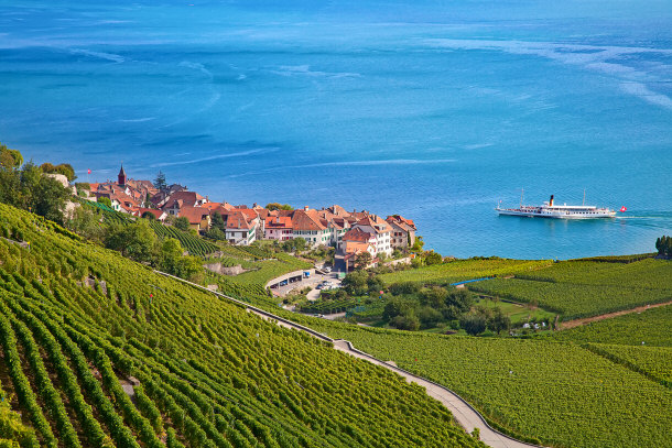 Vineyards of the Lavaux Region and Lake Geneva
