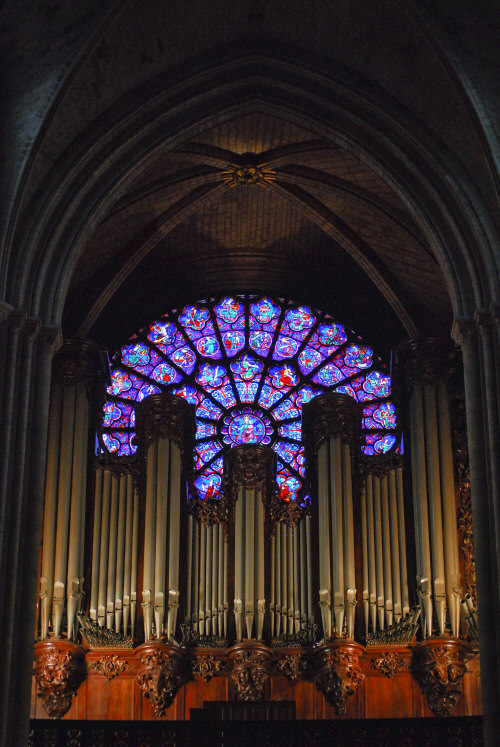 Notre Dame's Organ