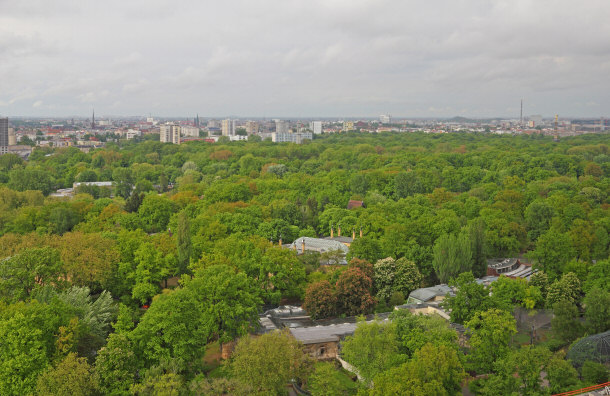 View of the Berlin Zoo from the Scaffolds of the Kaiser Wilhelm Memory Church